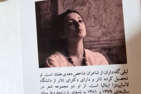 تحلیل ادبی دفتر اشعار ” سینیور ” از‌ لیلی گله داران به قلم استاد فیض شریفی