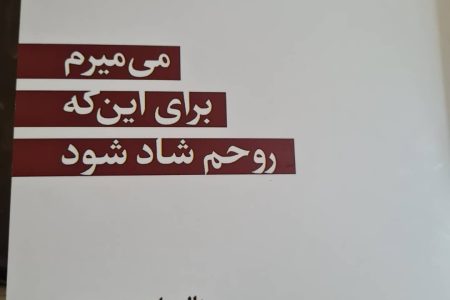 تحلیل ادبی کاریکلماتور هاله زارع نی ریزی به قلم استاد فیض شریفی
