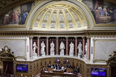 سنای فرانسه قانونی بودن سقط جنین را تائید کرد